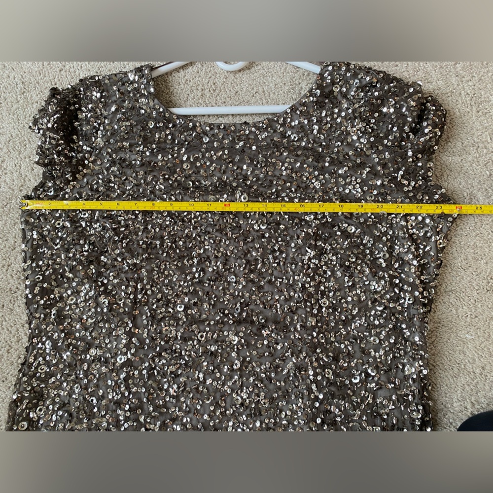 Adrianna Papell full length sequin dress | size 20W - Picture 10 of 12